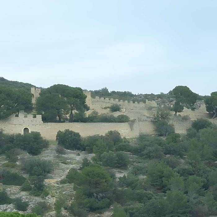 Photo de Castellas de Montpeyroux