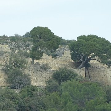 Castellas de Montpeyroux