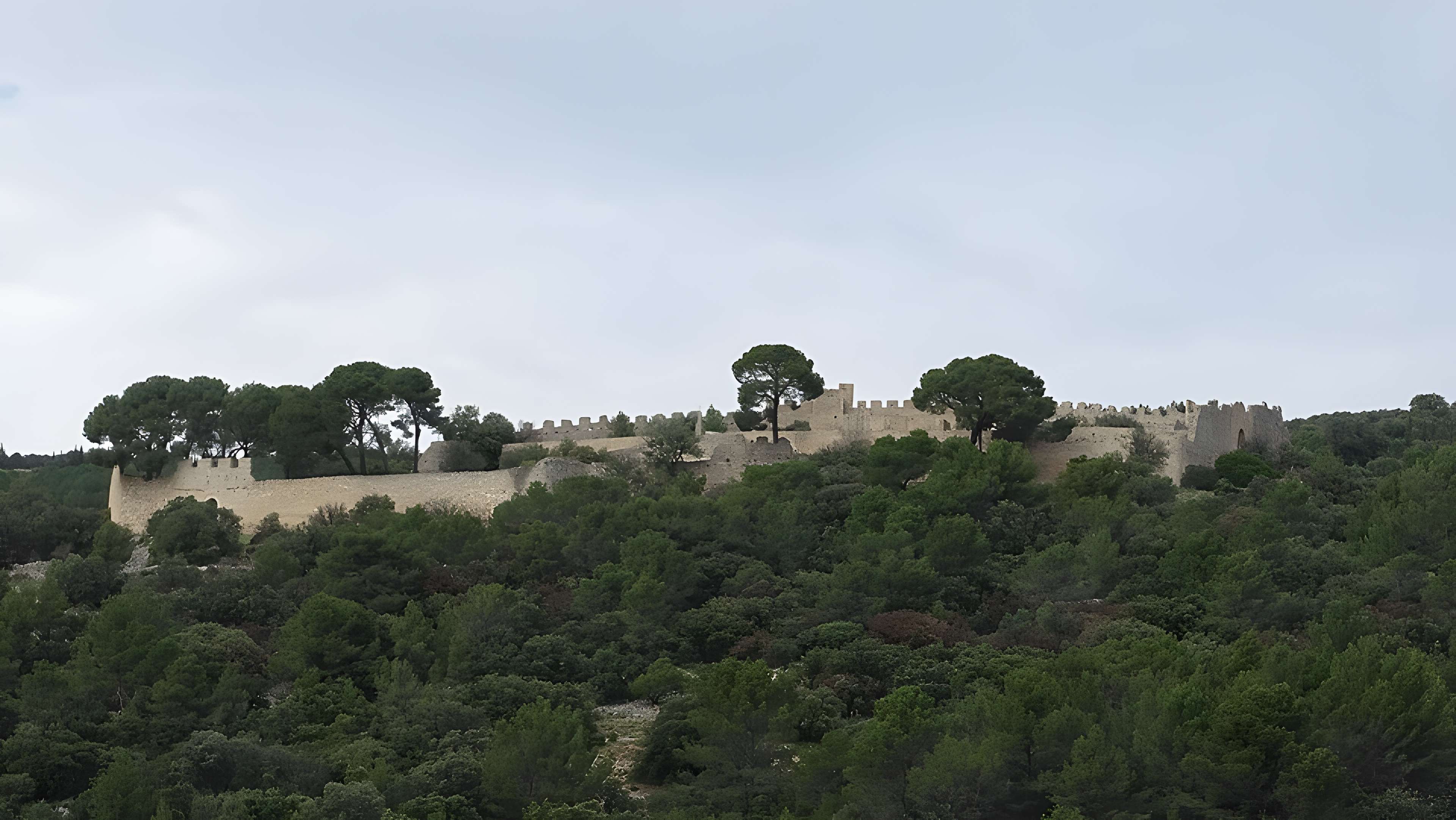 Castellas de Montpeyroux
