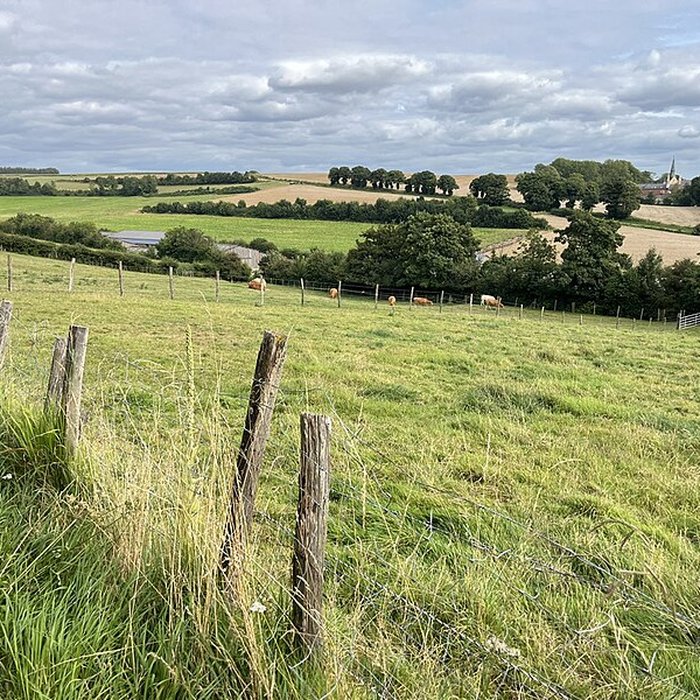 Photo de Chartreuse de Neuville