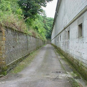 Chartreuse de Neuville