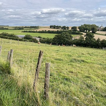 Chartreuse de Neuville