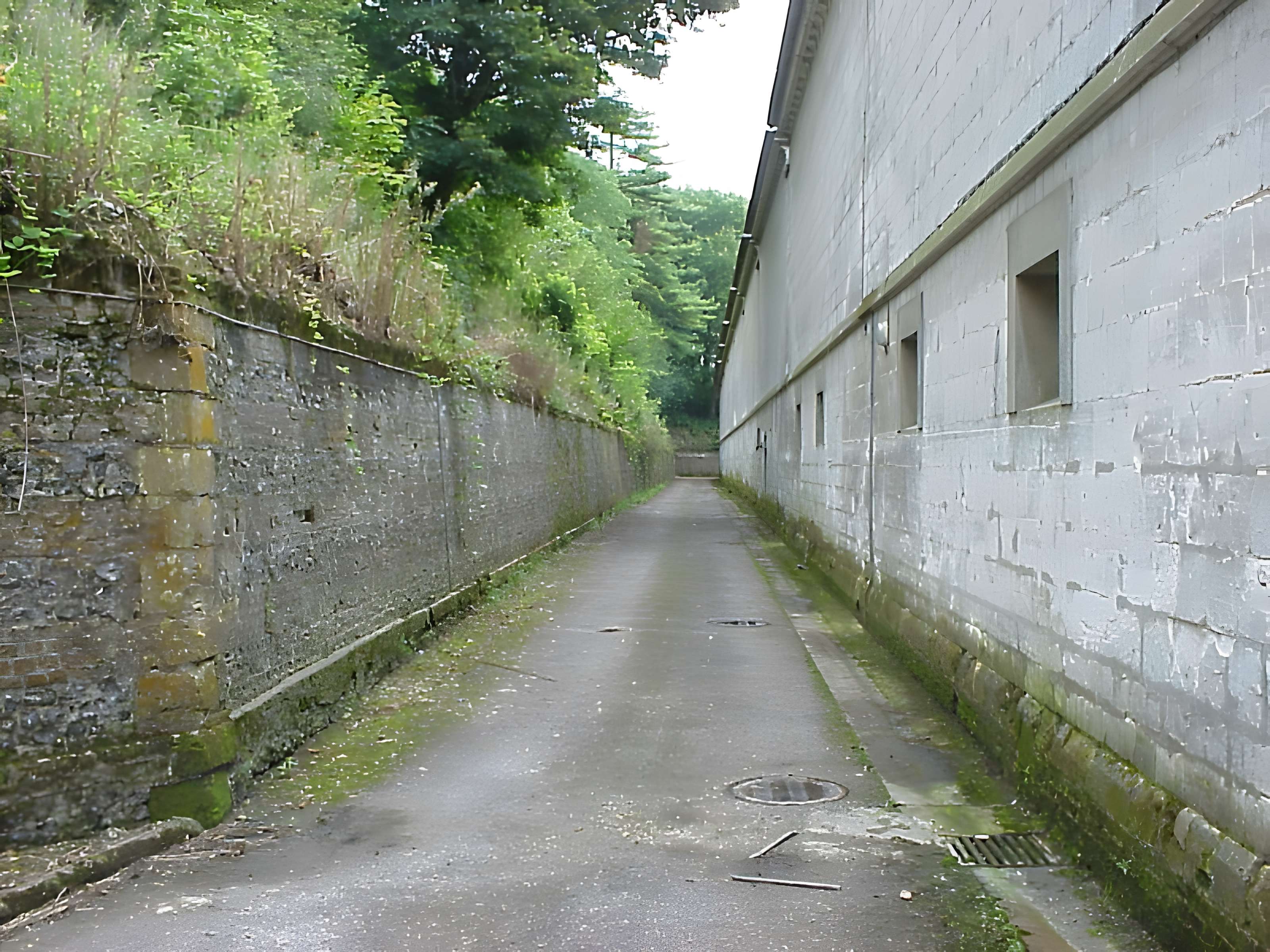 Chartreuse de Neuville