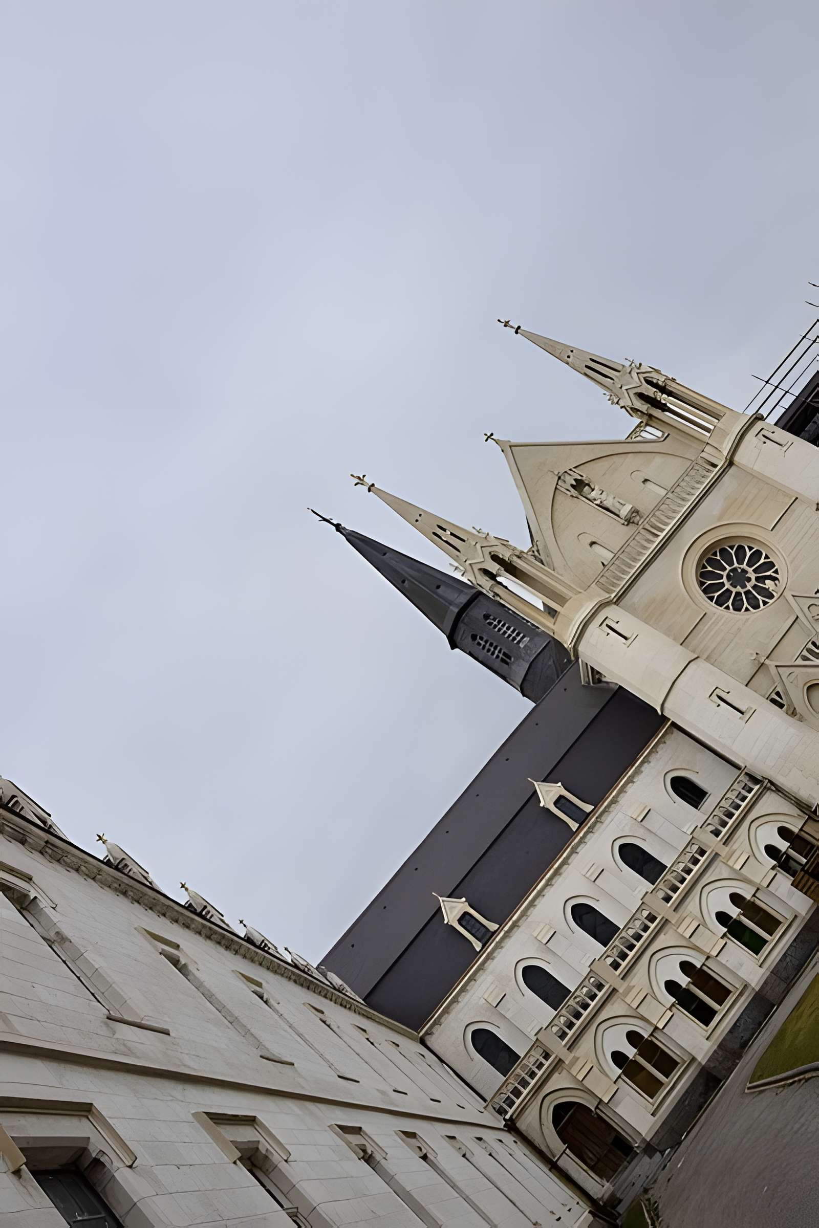 Chartreuse de Neuville