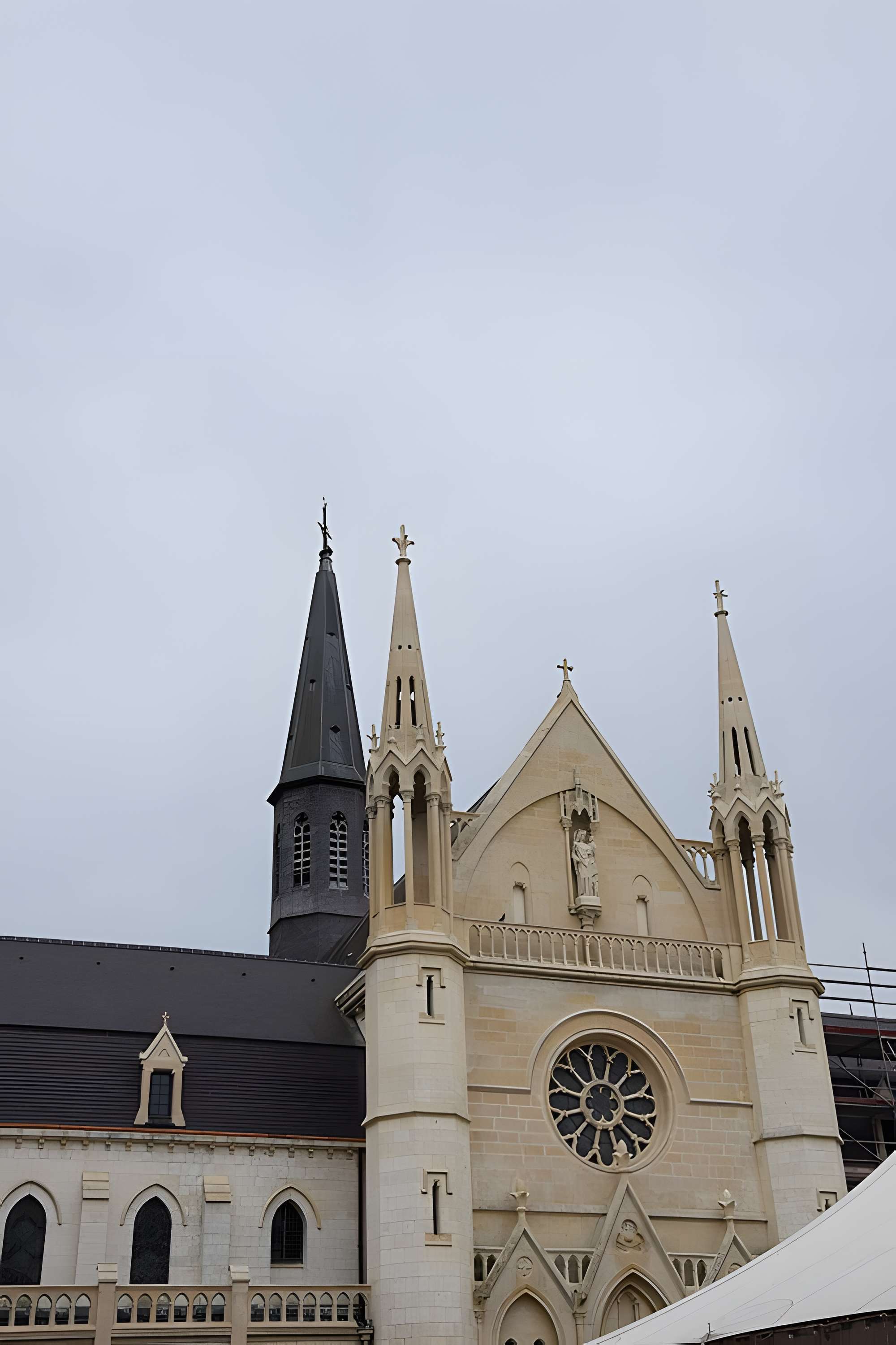 Chartreuse de Neuville