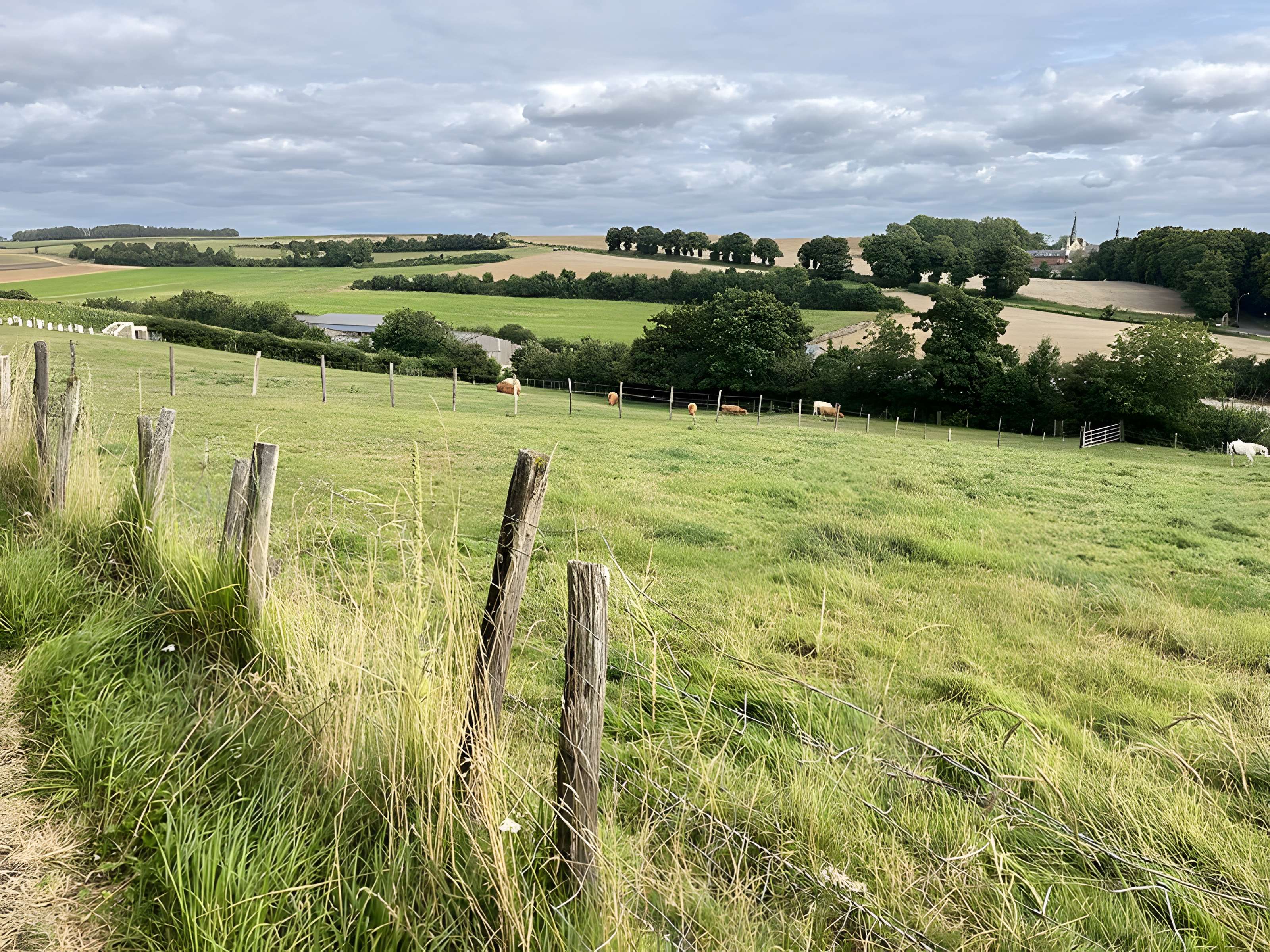 Chartreuse de Neuville