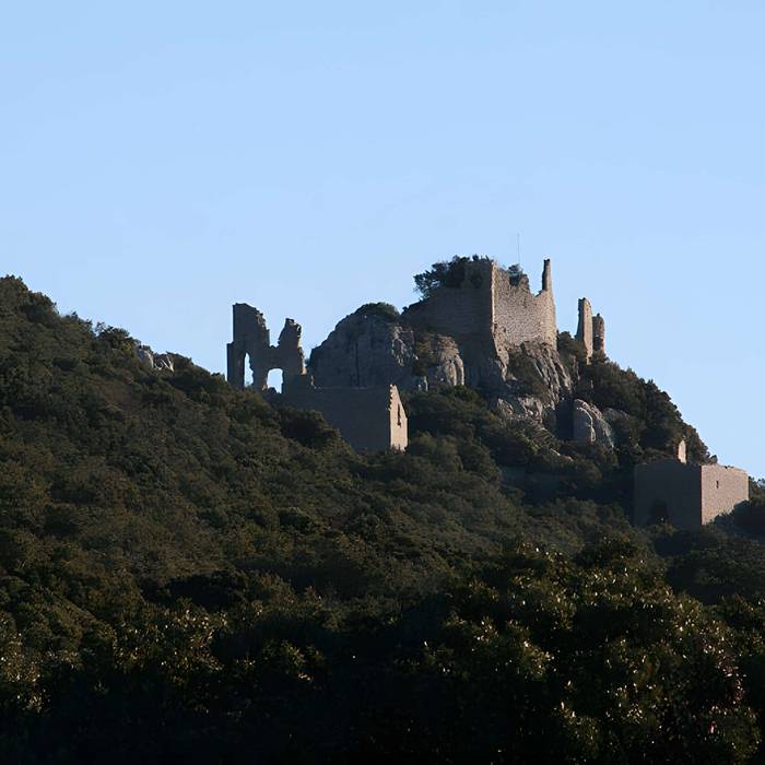 Photo de Vestiges du château de Montferrand
