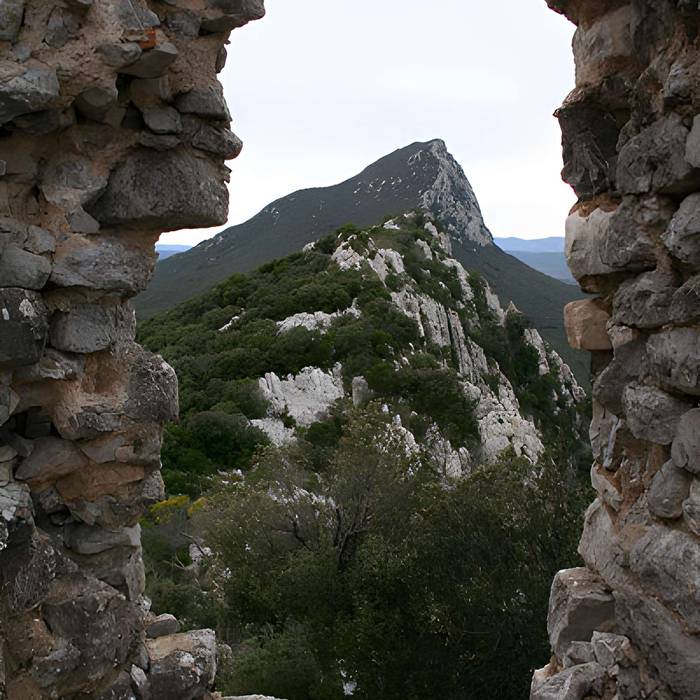 Photo de Vestiges du château de Montferrand