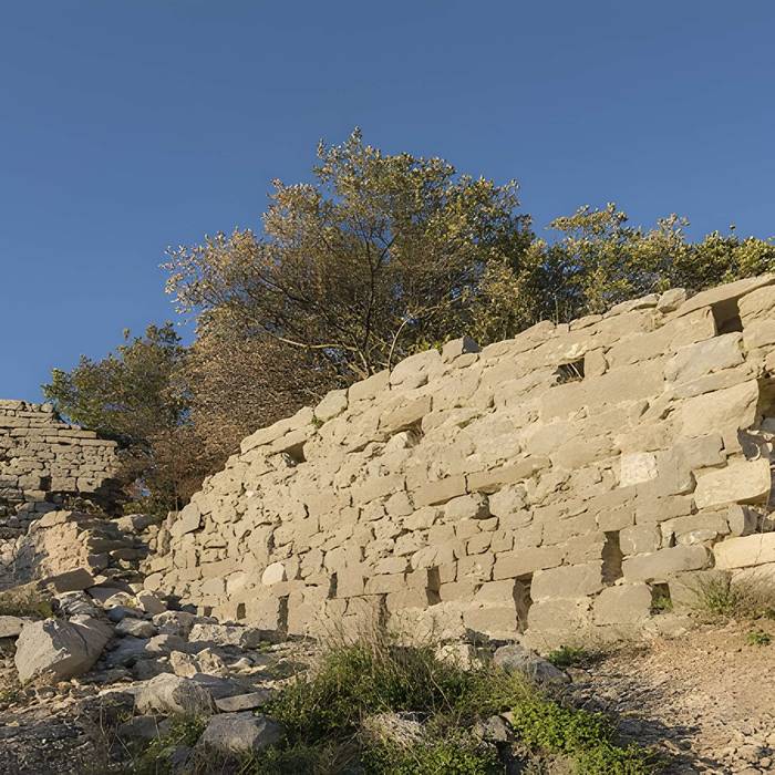 Photo de Vestiges du château de Montferrand