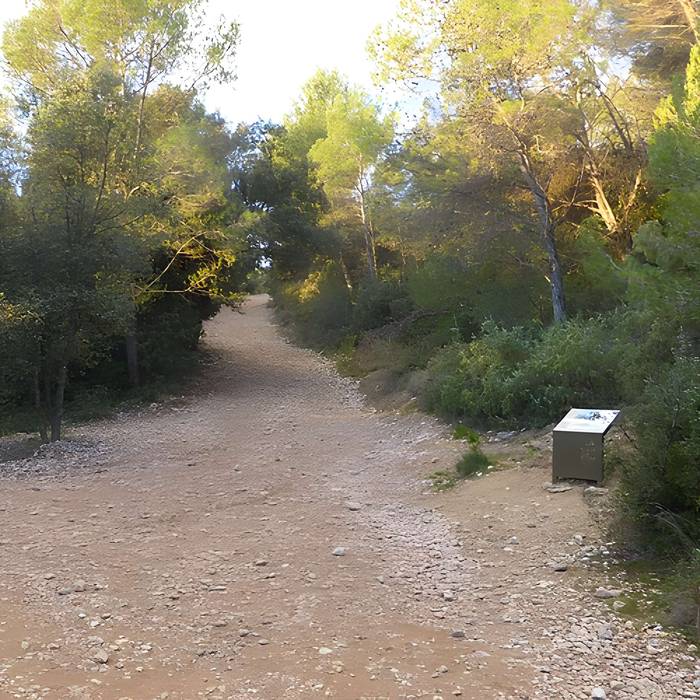 Photo de Vestiges du château de Montferrand