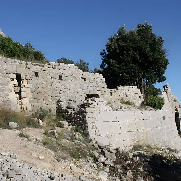 Photo de Vestiges du château de Montferrand