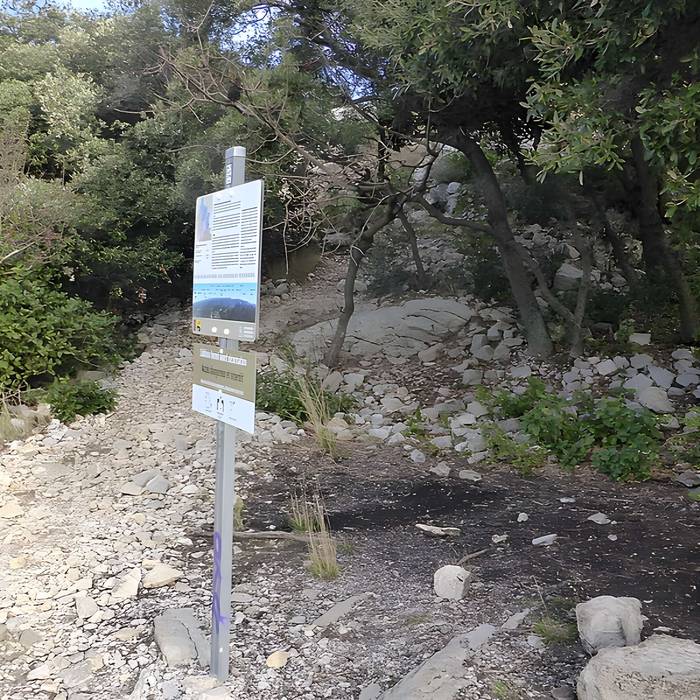Photo de Vestiges du château de Montferrand