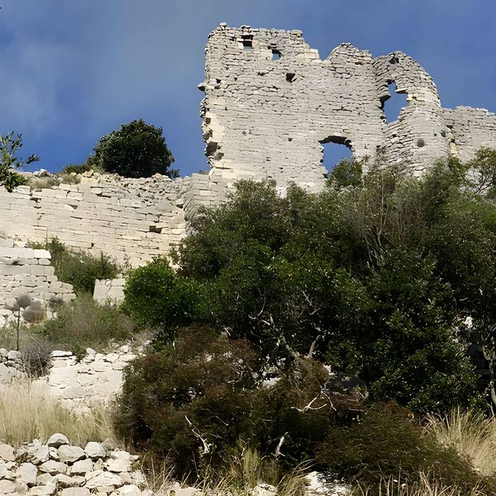 Photo de Vestiges du château de Montferrand