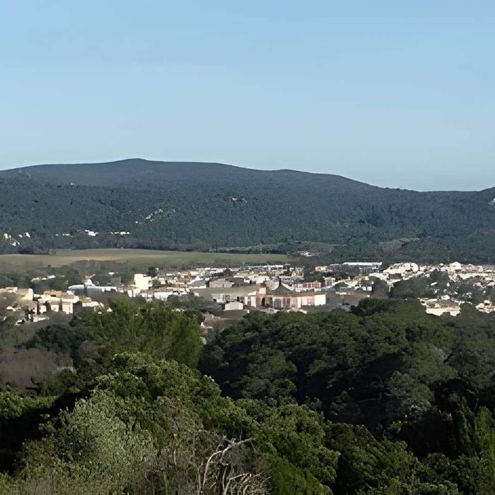 Photo de Vestiges du château de Montferrand