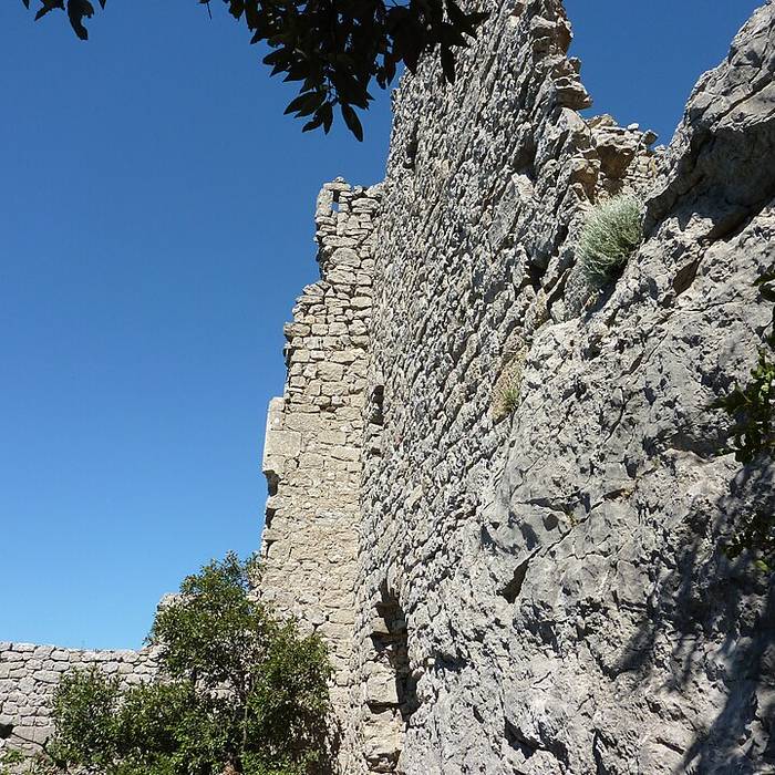 Photo de Vestiges du château de Montferrand