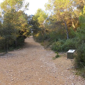 Vestiges du château de Montferrand