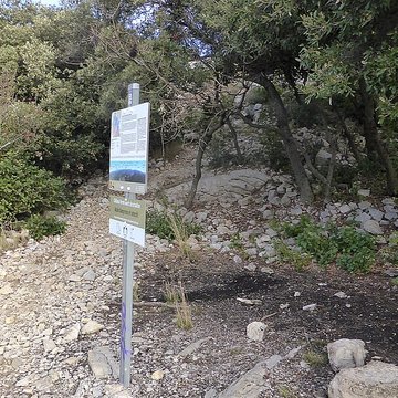 Vestiges du château de Montferrand