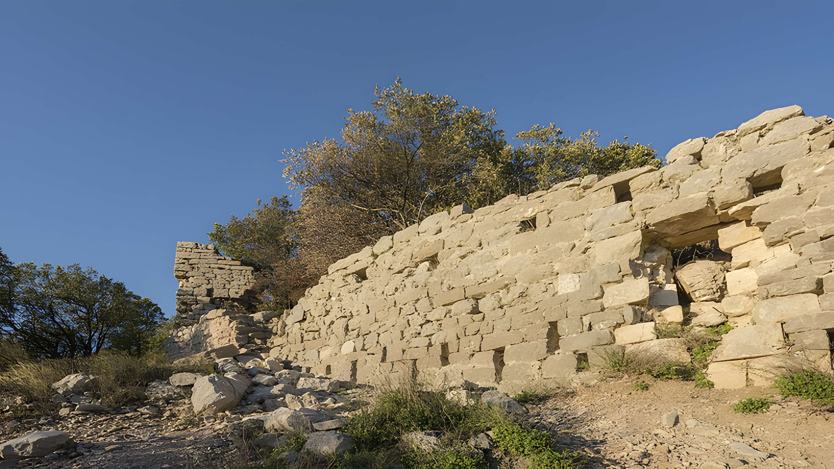 Vestiges du château de Montferrand