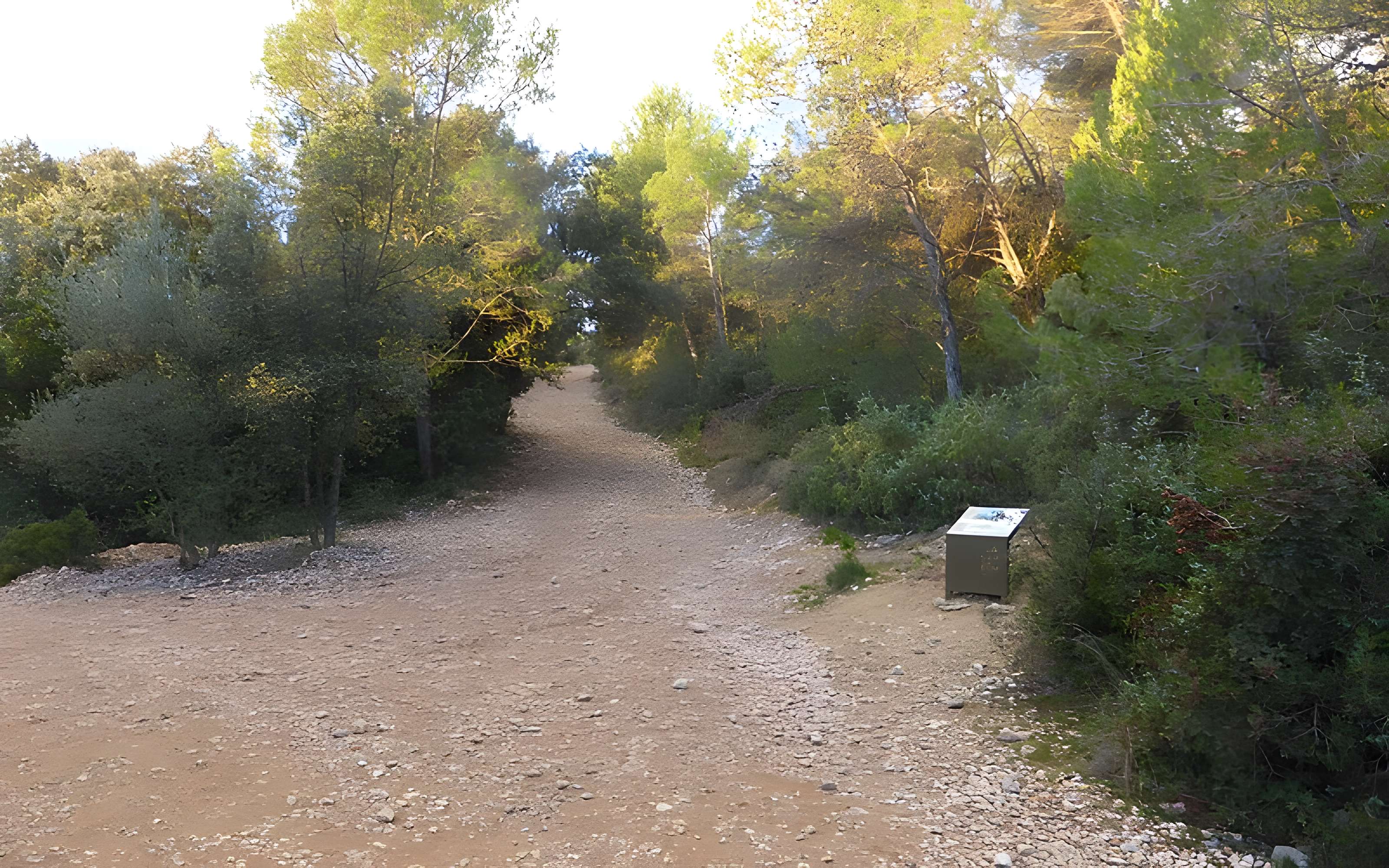 Vestiges du château de Montferrand