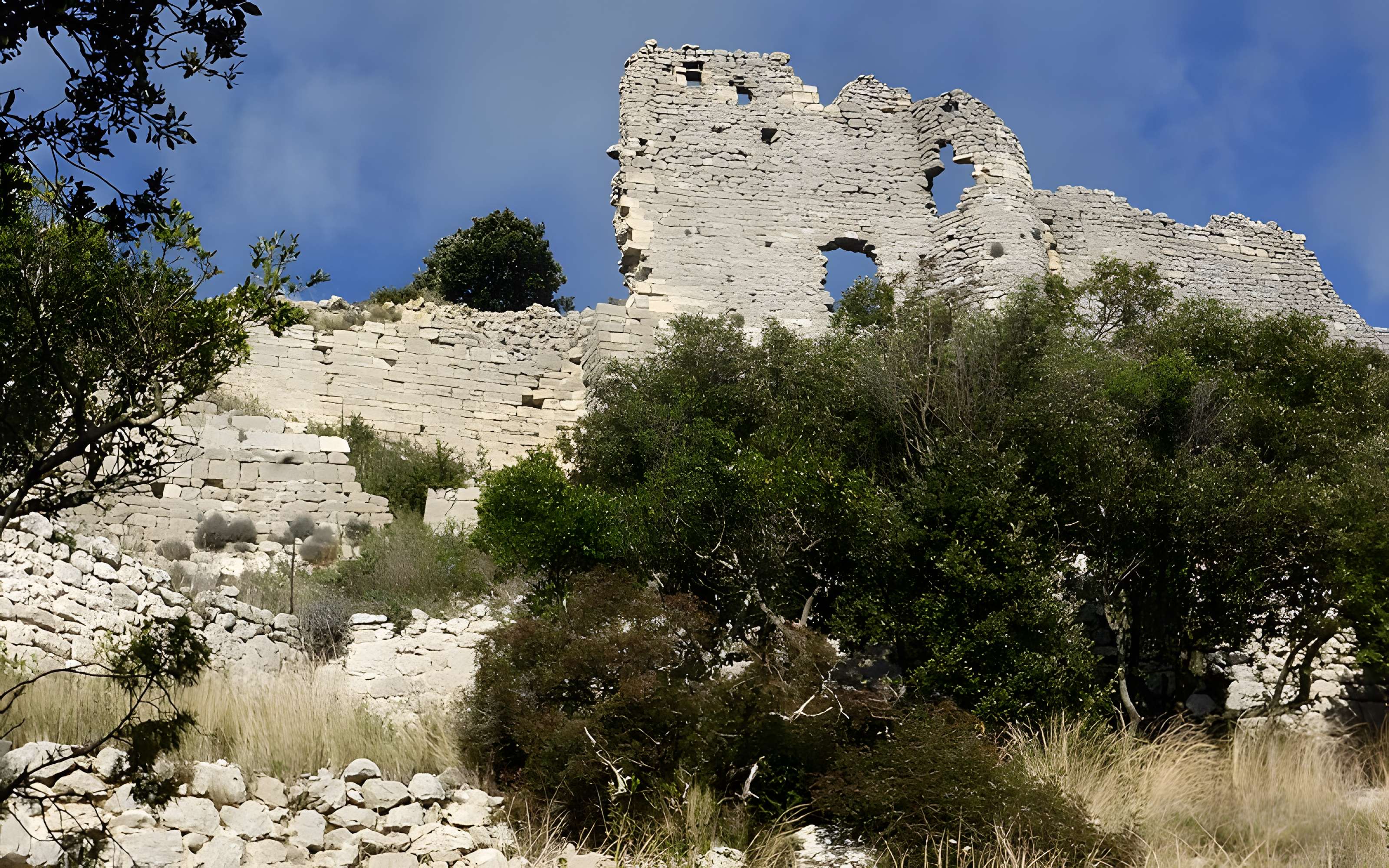 Vestiges du château de Montferrand