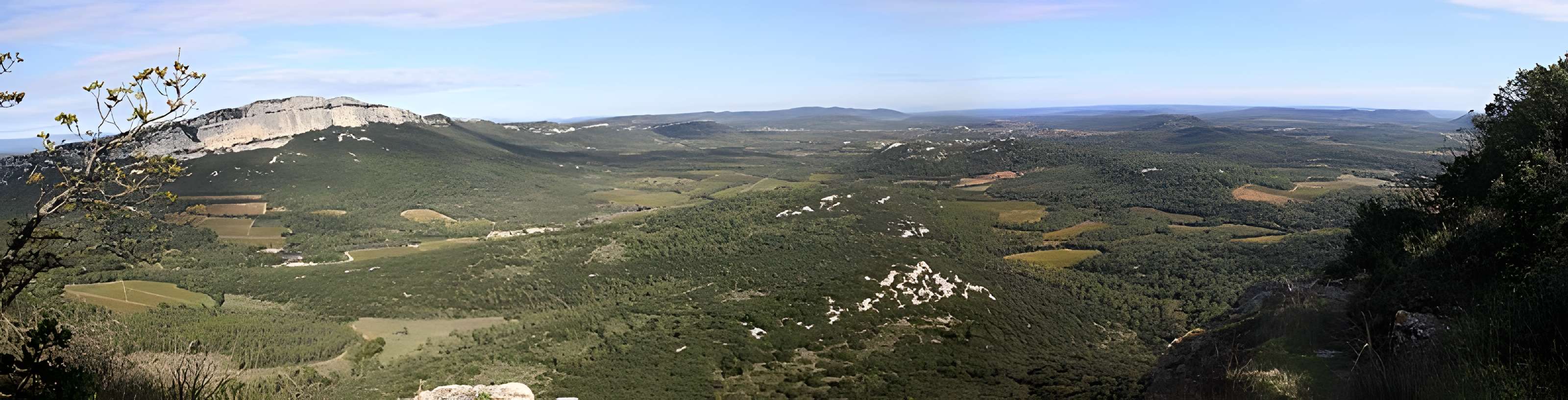 Vestiges du château de Montferrand