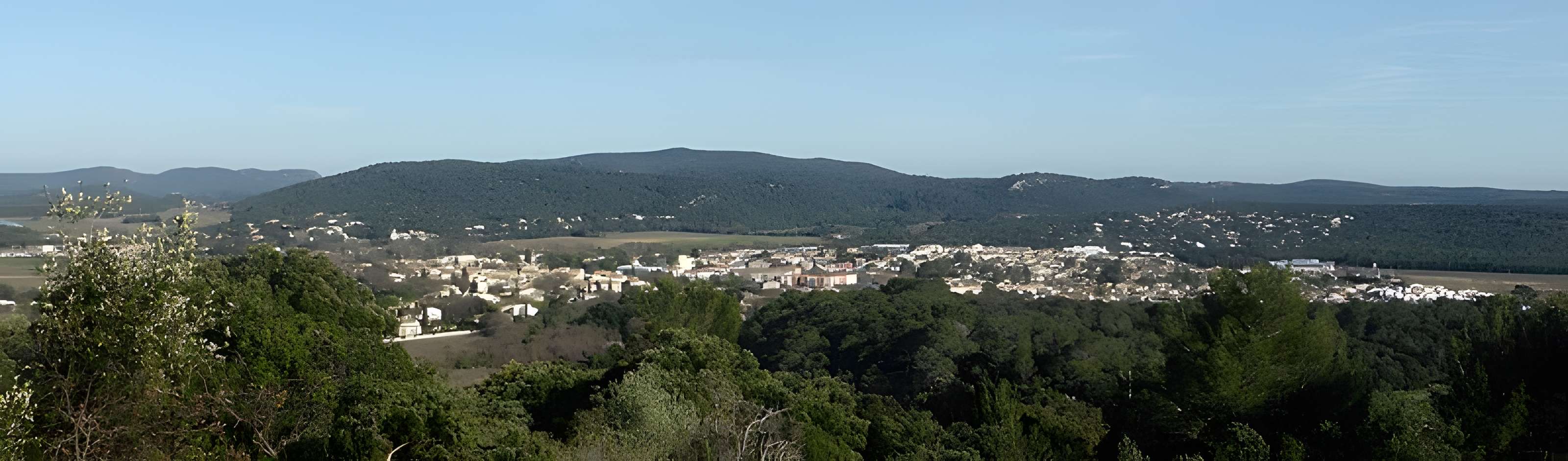 Vestiges du château de Montferrand