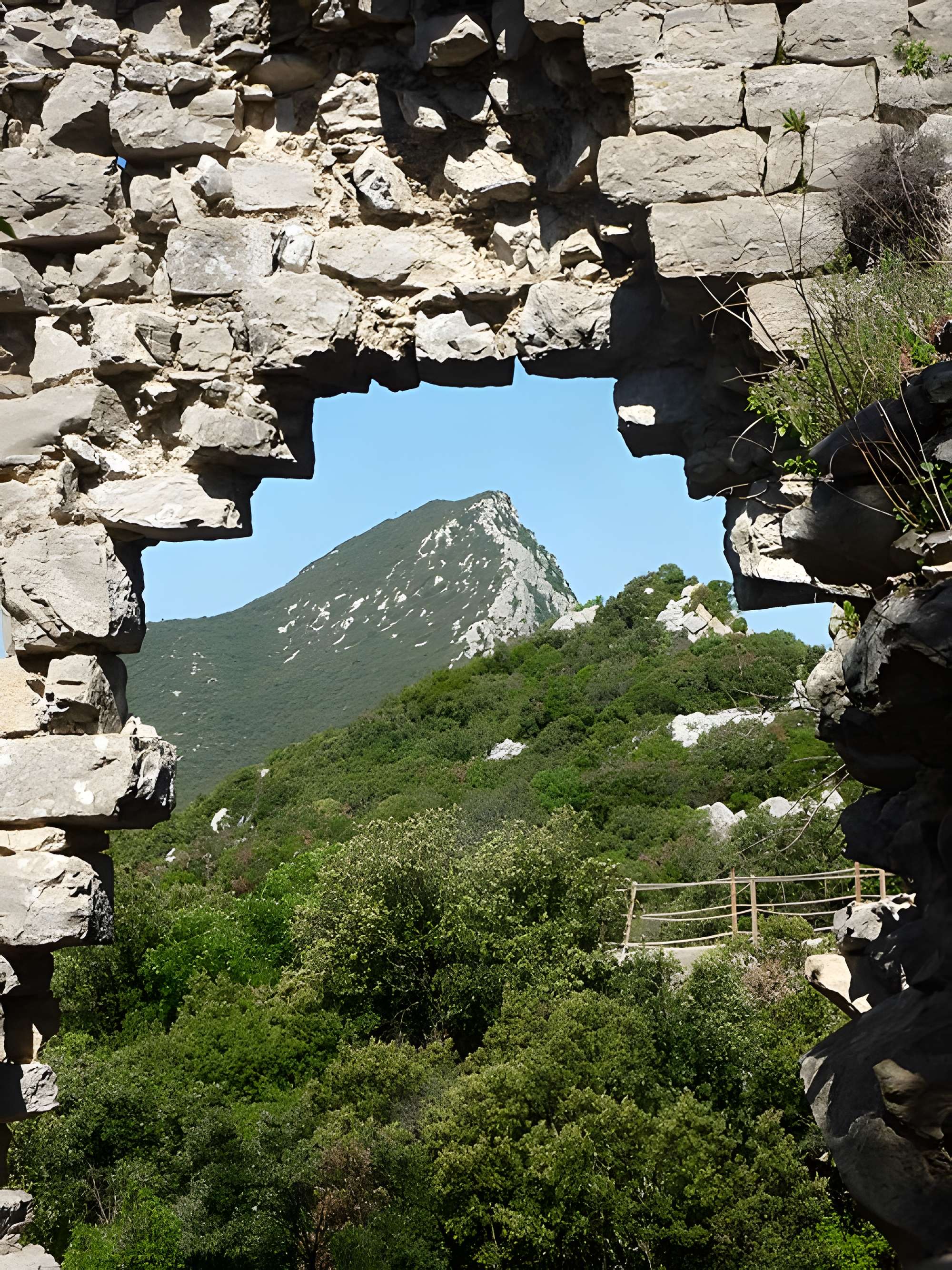 Vestiges du château de Montferrand