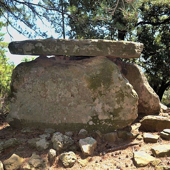 Photo de Dolmen dit du Belvédère