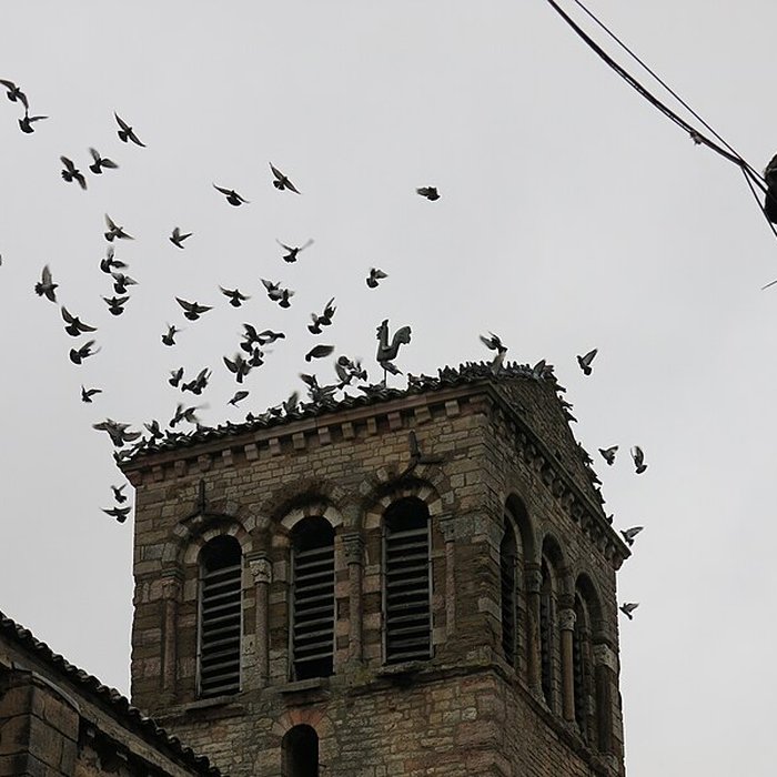 Photo de Église Sainte-Madeleine de Tournus