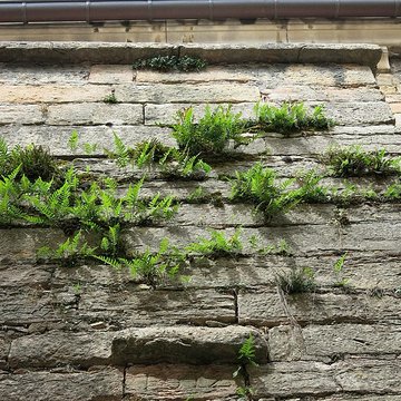 Église Sainte-Madeleine de Tournus