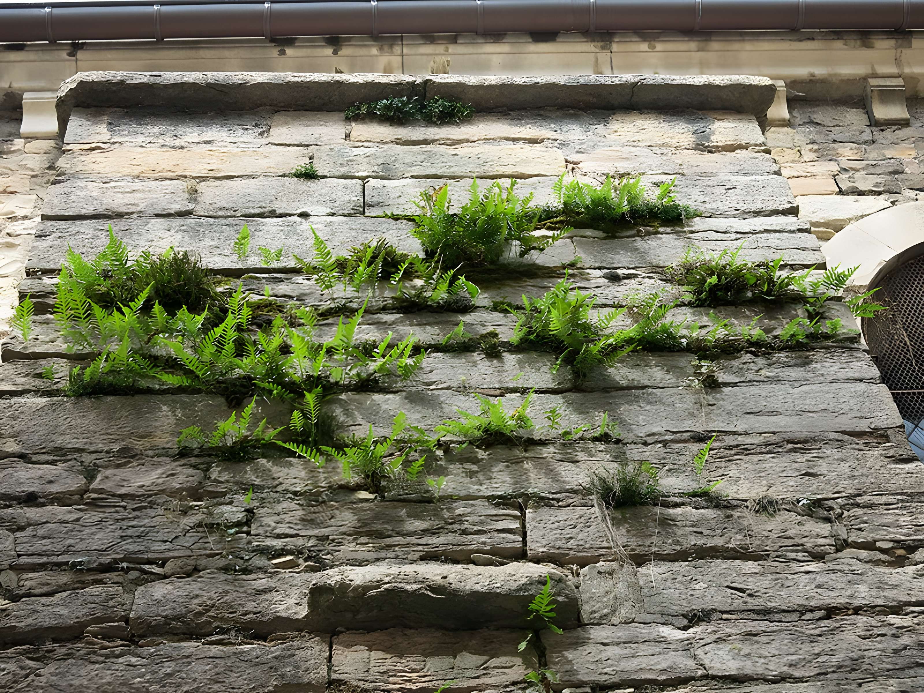 Église Sainte-Madeleine de Tournus