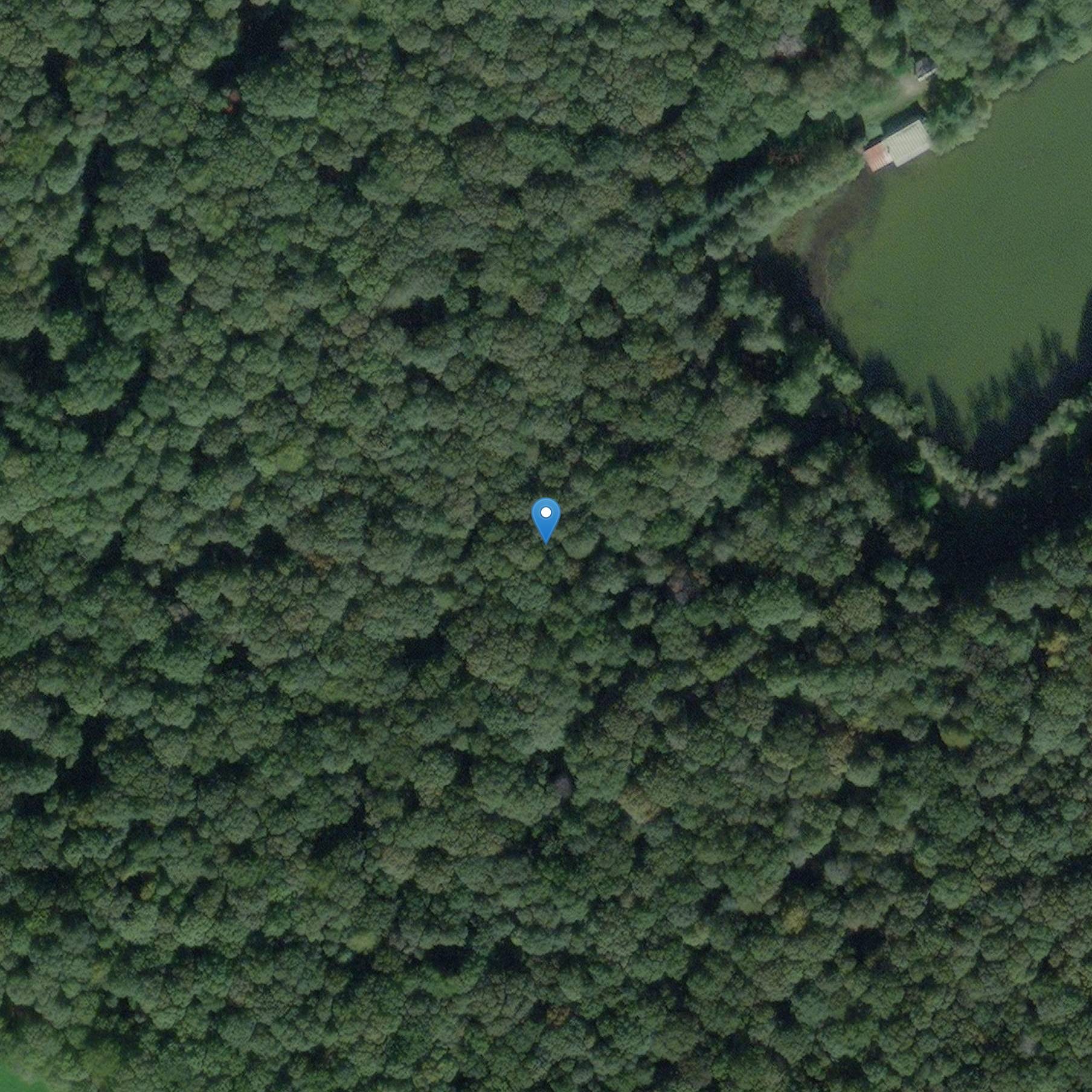 Photo de Archaeological site of the Bois du Pinel