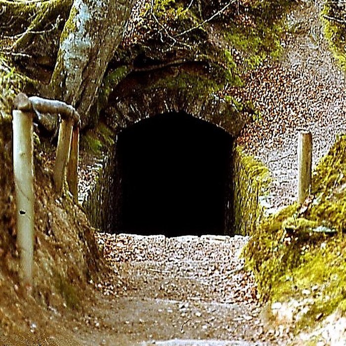 Photo de Anciens celliers