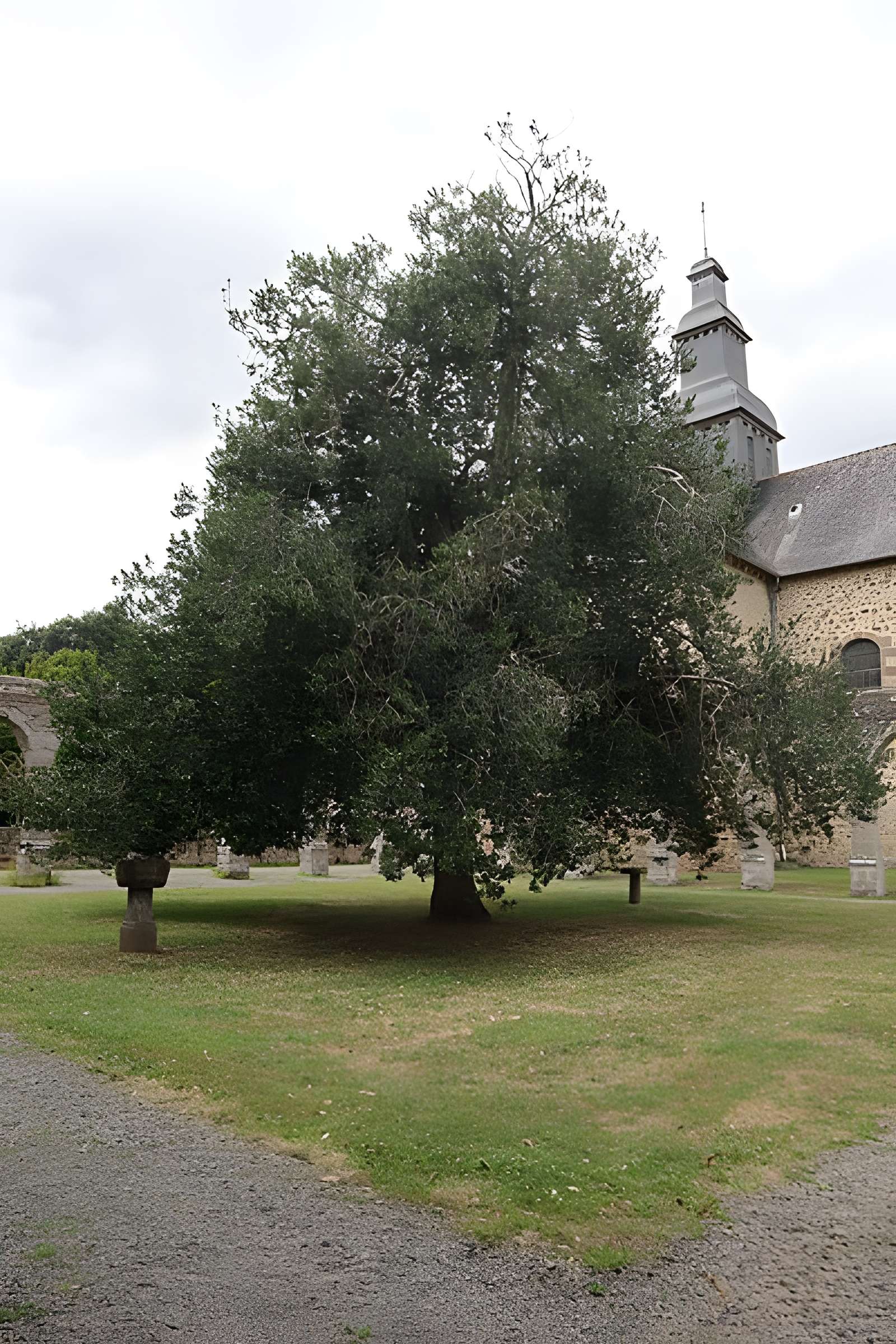 Restes de l'ancienne abbaye