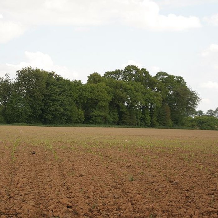 Photo de Deux mégalithes