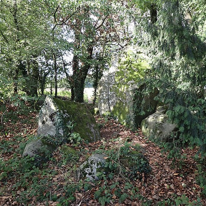 Photo de Deux mégalithes