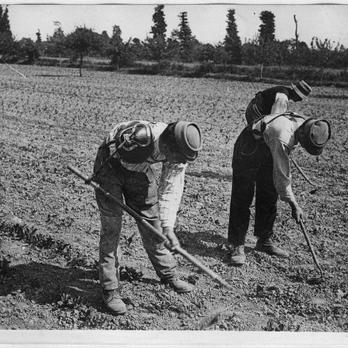 Photo de Ecole dAgriculture de Rennes, aujourdhui Agrocampus Ouest