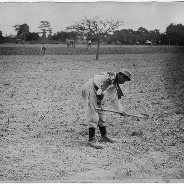 Photo de Ecole dAgriculture de Rennes, aujourdhui Agrocampus Ouest