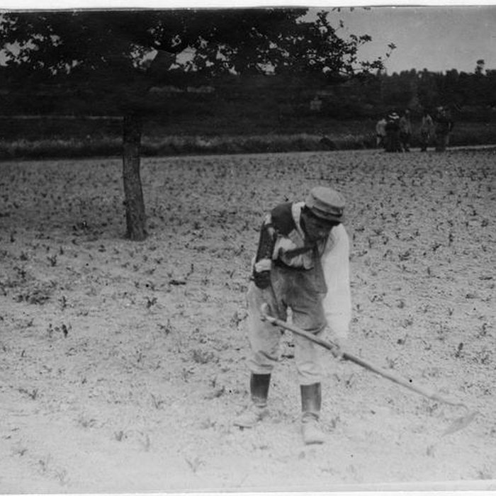 Photo de Ecole dAgriculture de Rennes, aujourdhui Agrocampus Ouest