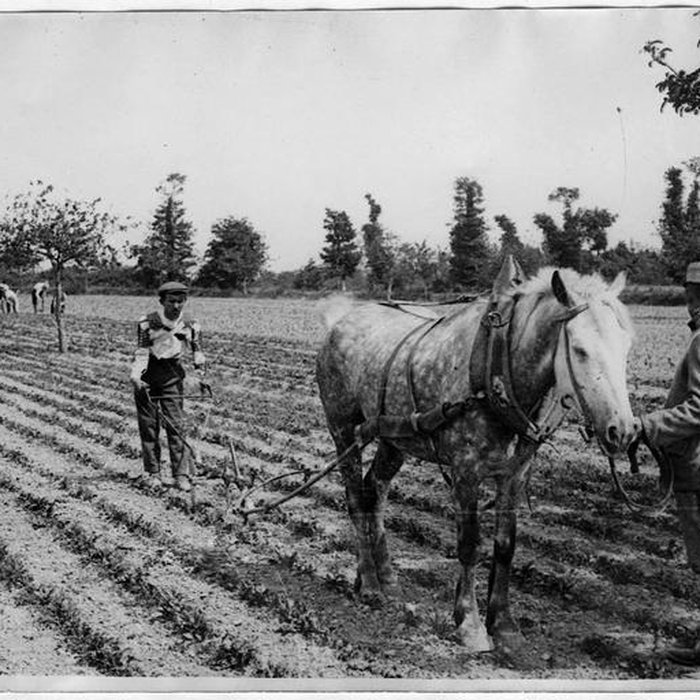 Photo de Ecole dAgriculture de Rennes, aujourdhui Agrocampus Ouest