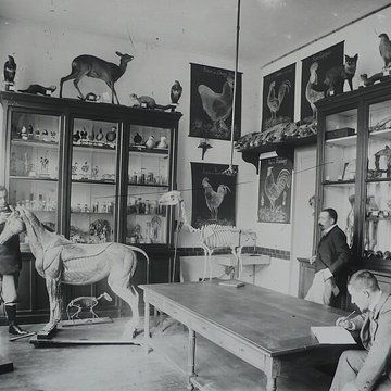 Ecole dAgriculture de Rennes, aujourdhui Agrocampus Ouest