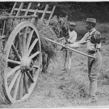Ecole dAgriculture de Rennes, aujourdhui Agrocampus Ouest