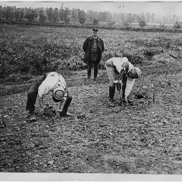 Ecole dAgriculture de Rennes, aujourdhui Agrocampus Ouest