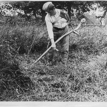 Ecole dAgriculture de Rennes, aujourdhui Agrocampus Ouest