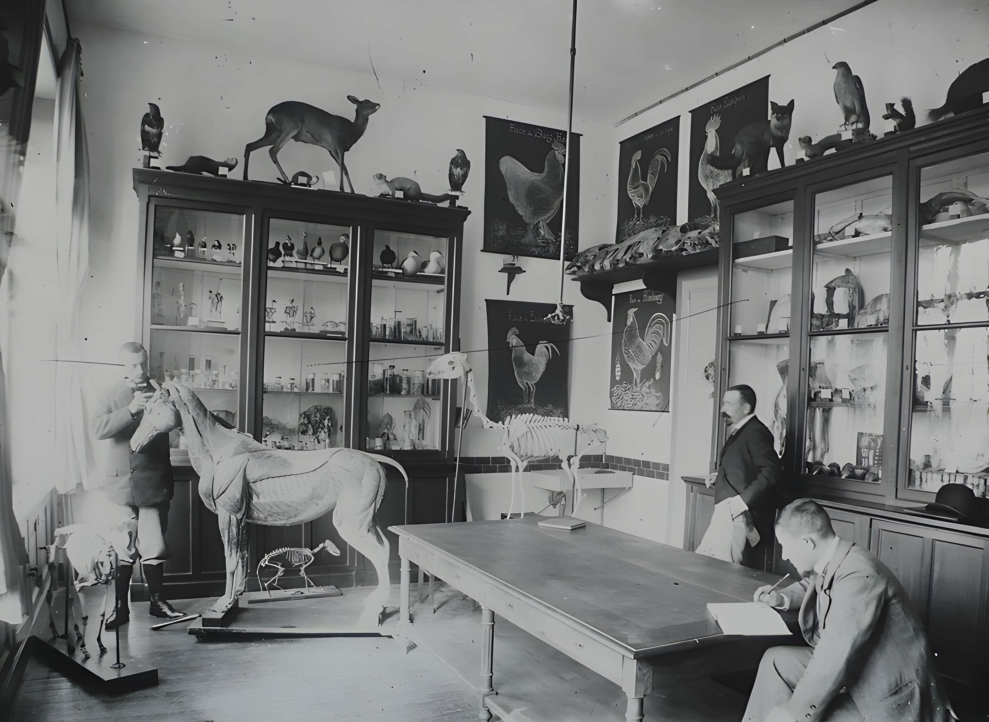 Ecole d'Agriculture de Rennes, aujourd'hui Agrocampus Ouest