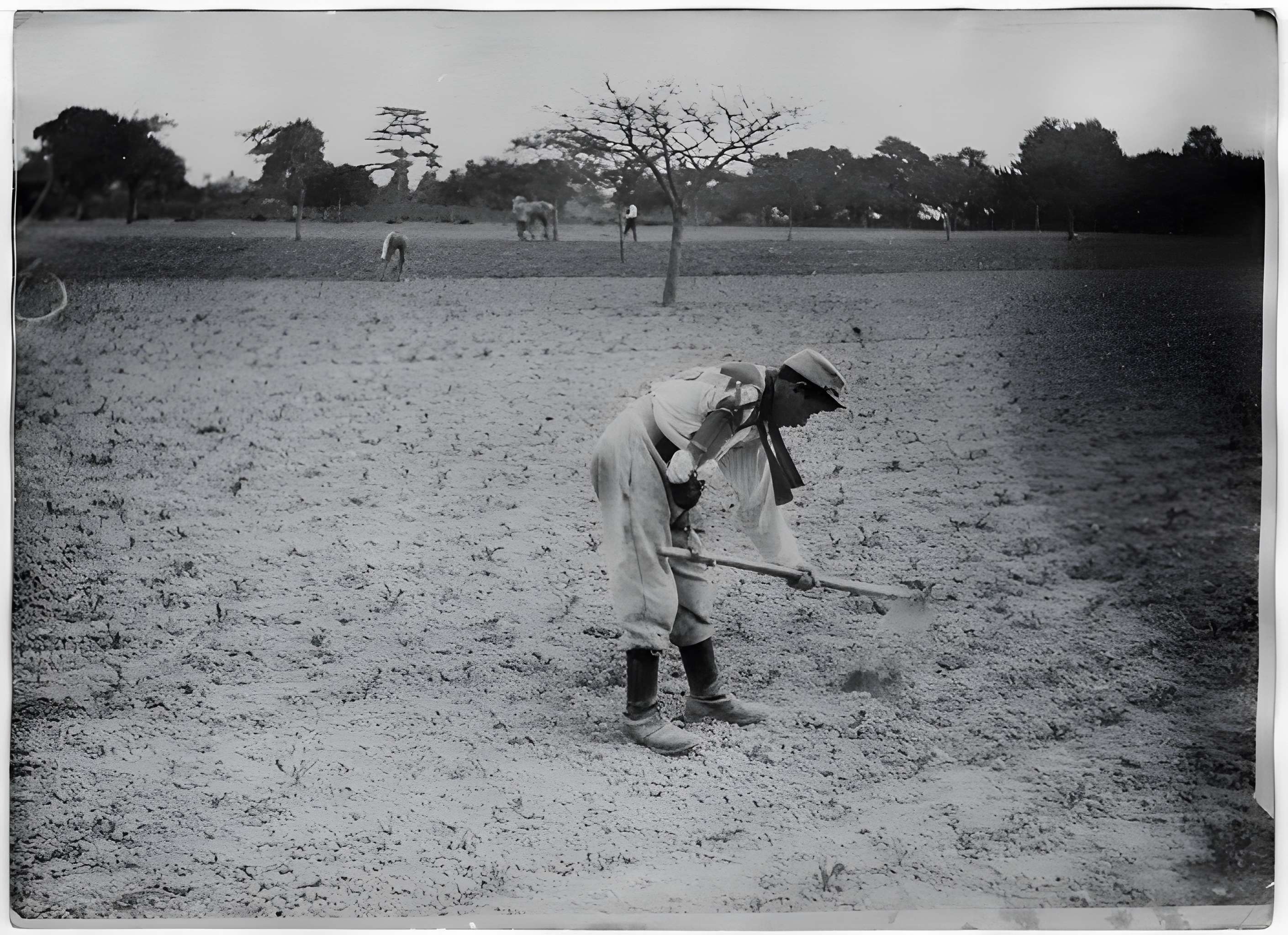Ecole d'Agriculture de Rennes, aujourd'hui Agrocampus Ouest