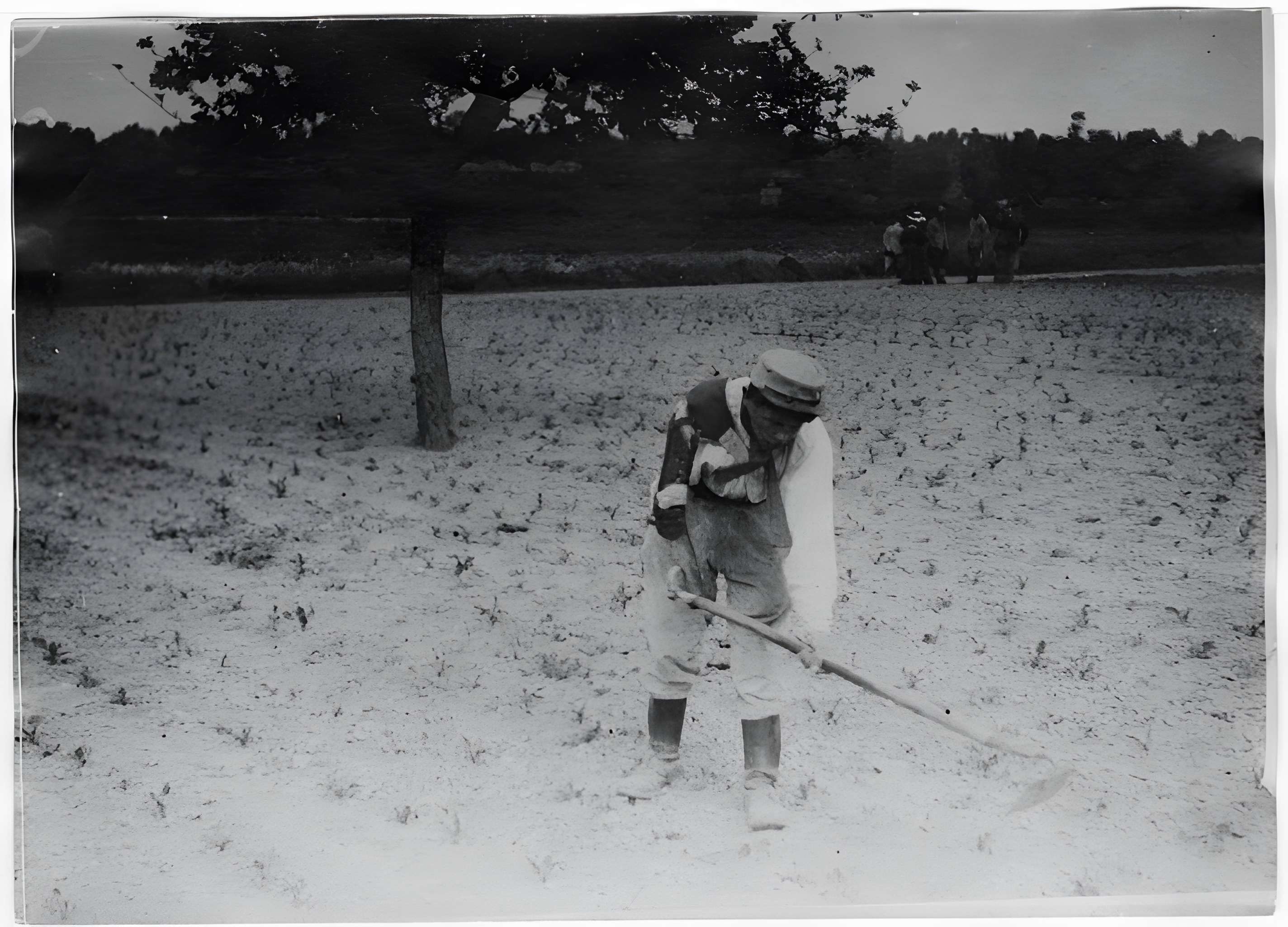 Ecole d'Agriculture de Rennes, aujourd'hui Agrocampus Ouest