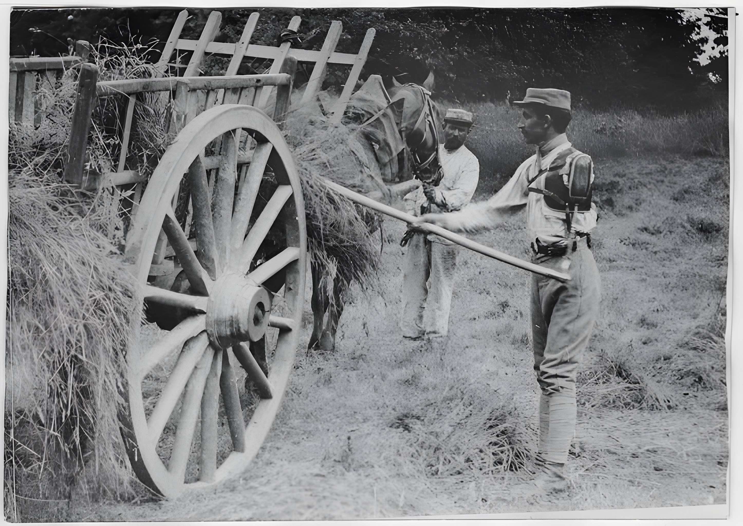 Ecole d'Agriculture de Rennes, aujourd'hui Agrocampus Ouest