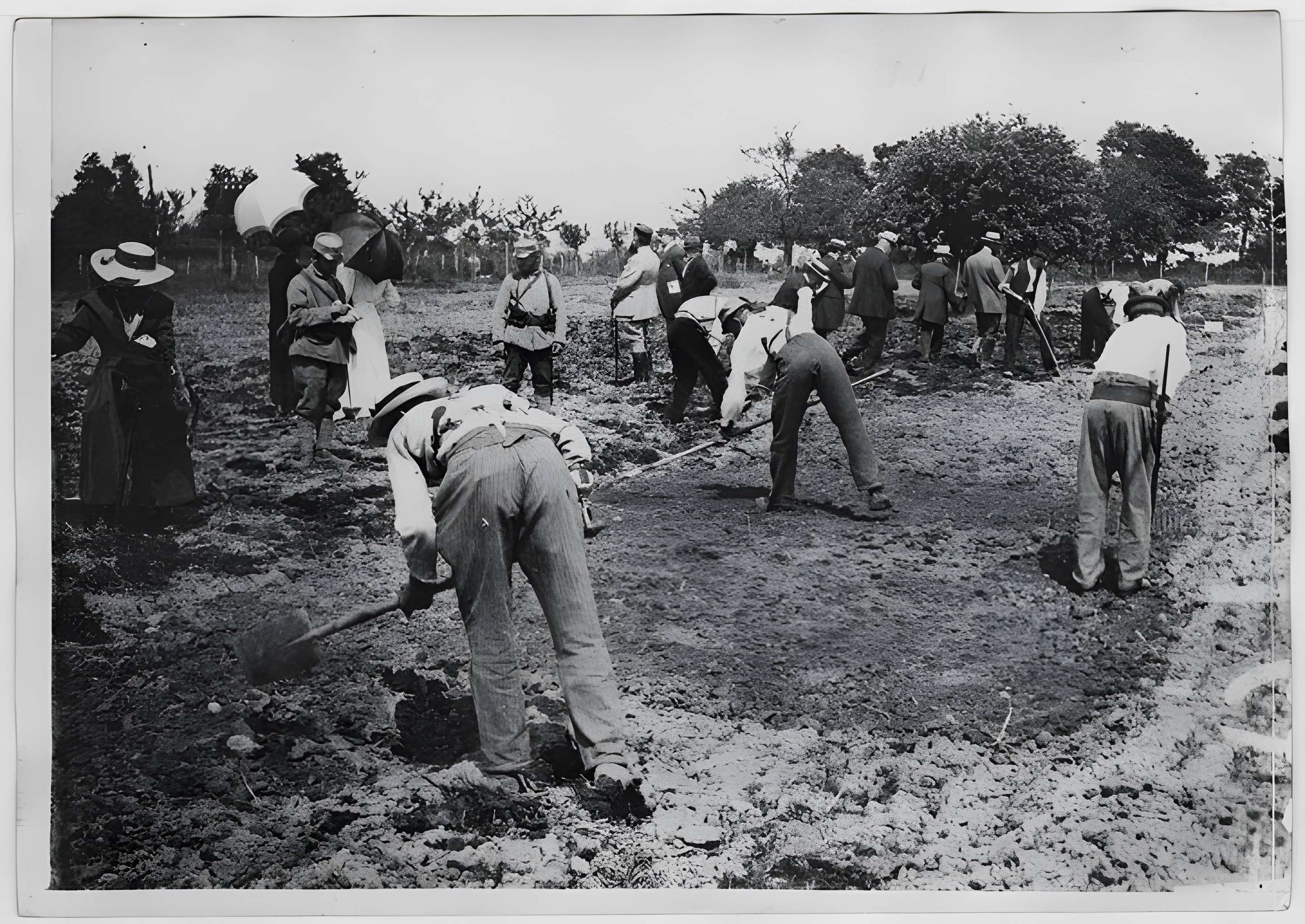 Ecole d'Agriculture de Rennes, aujourd'hui Agrocampus Ouest