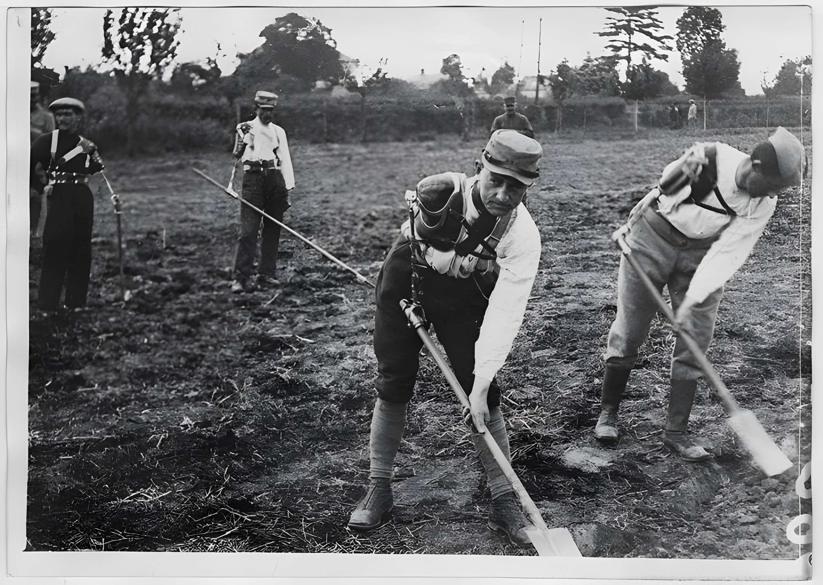 Ecole d'Agriculture de Rennes, aujourd'hui Agrocampus Ouest